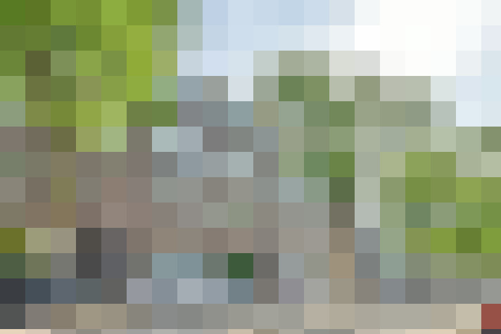 Image 14