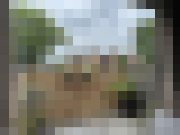 Image 15