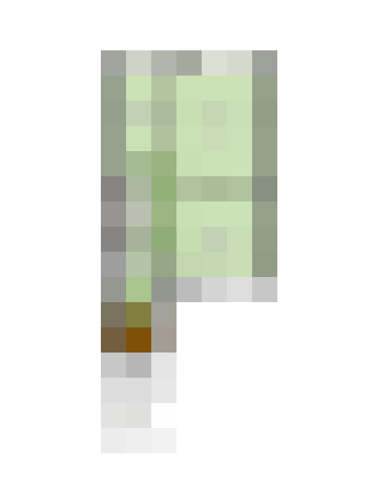Image 16