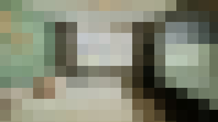 Image 41