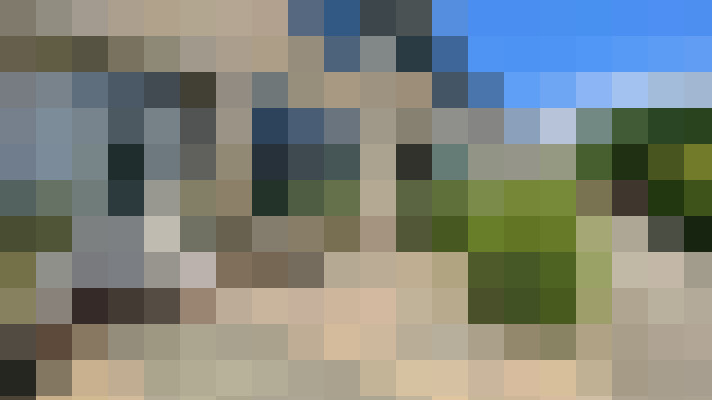 Image 29