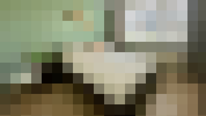 Image 42
