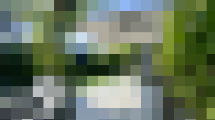 Image 16