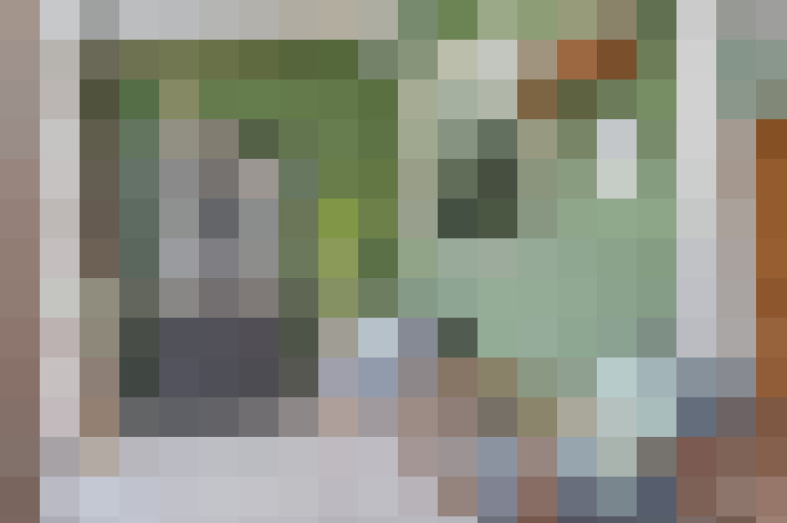 Image 13