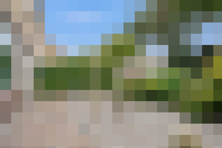 Image 48