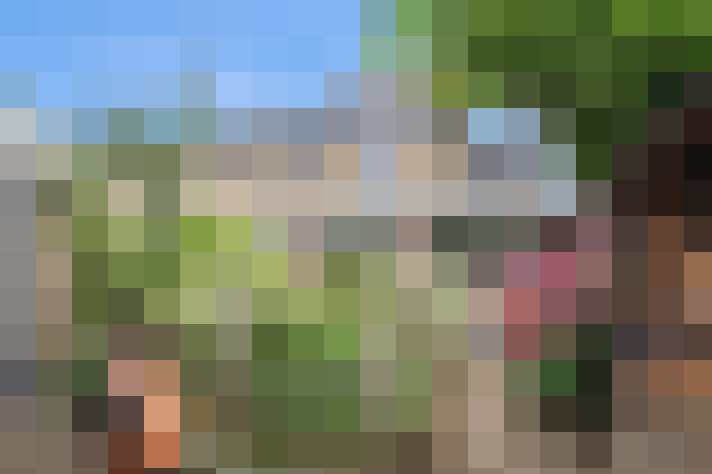 Image 45