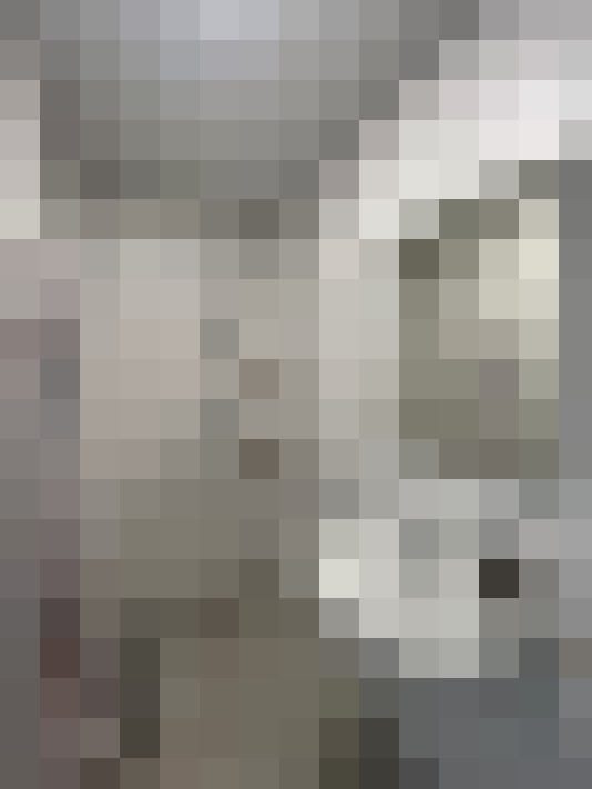 Image 20