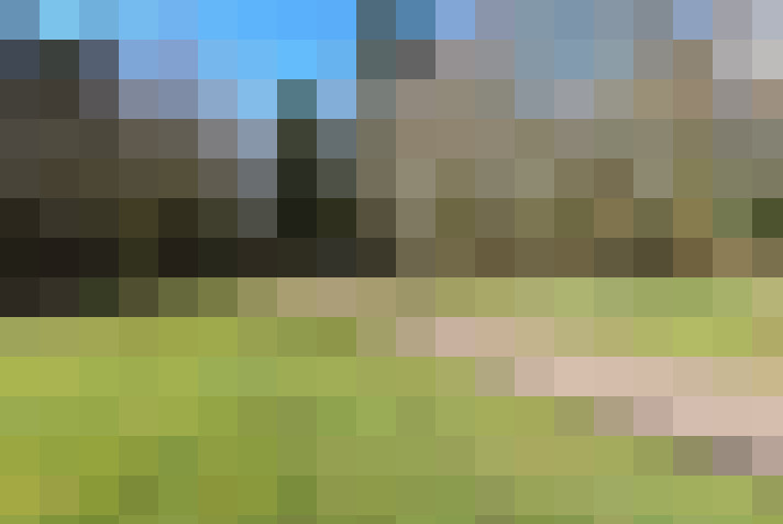 Image 46