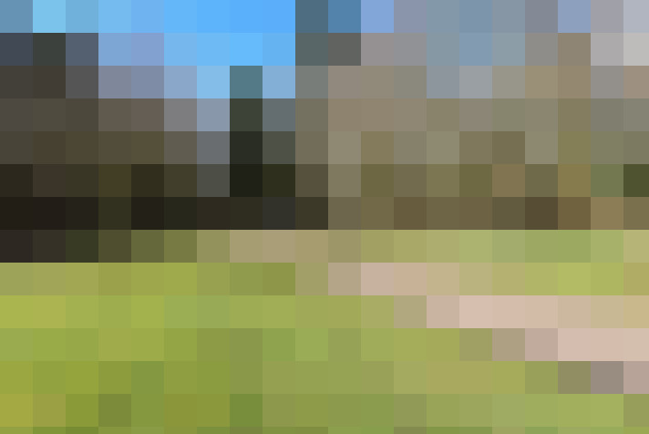 Image 23