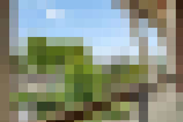 Image 25