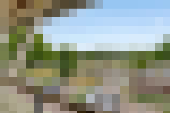 Image 24