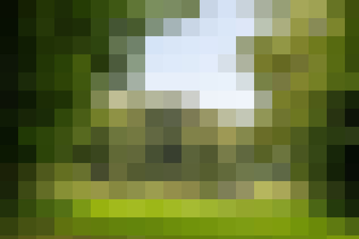 Image 29