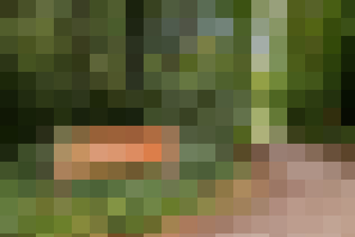 Image 27