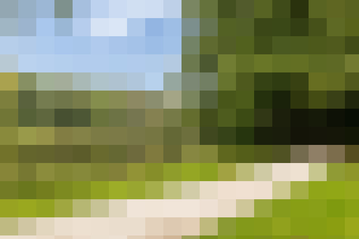 Image 30