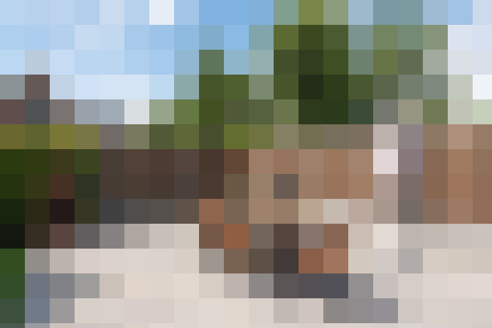 Image 48