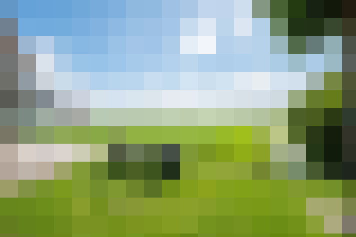 Image 49