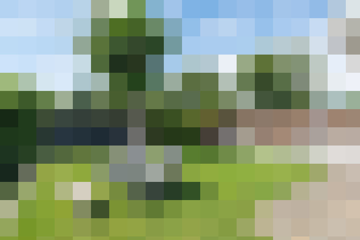 Image 46