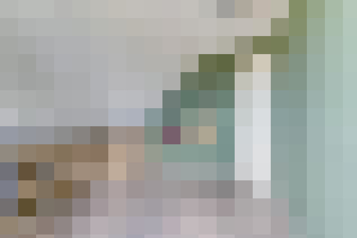 Image 29