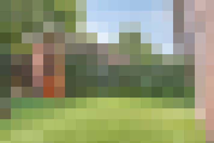 Image 23