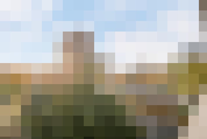 Image 21