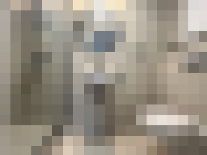 Image 15