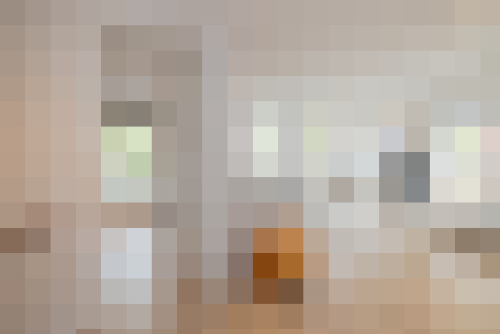 Image 20