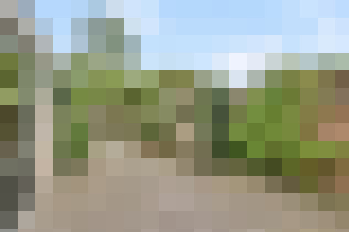 Image 20