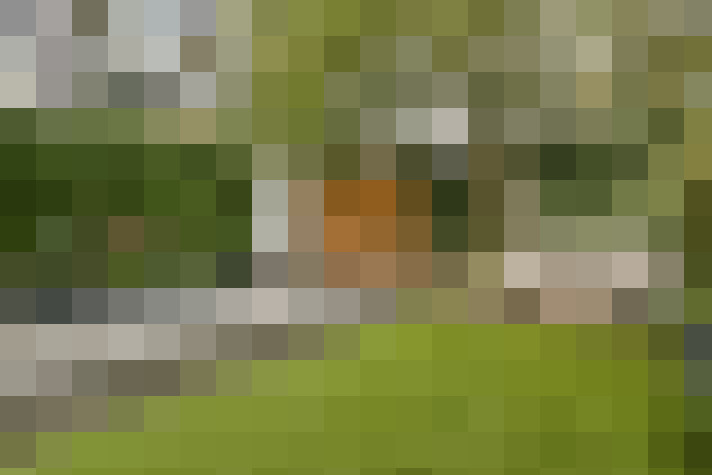 Image 17