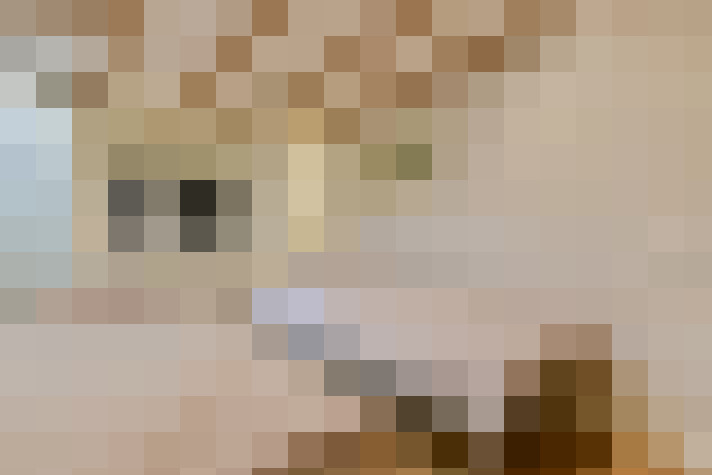 Image 32