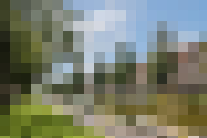 Image 37