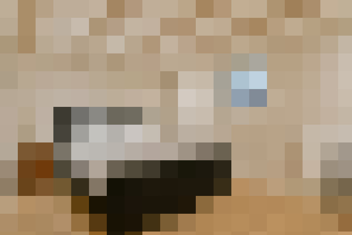 Image 25