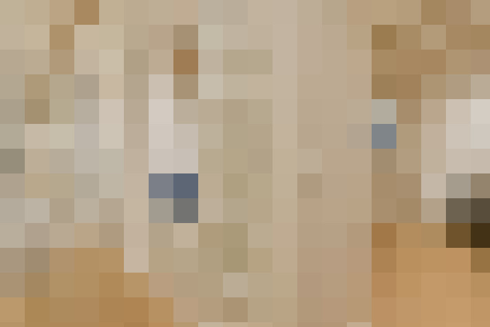 Image 23