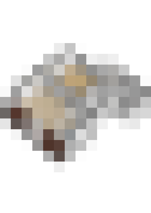 Image 16