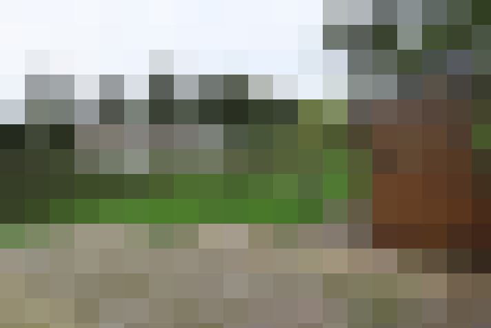 Image 25