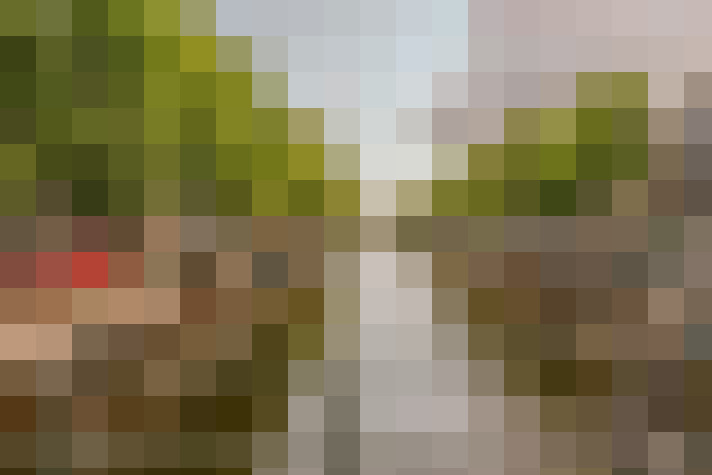 Image 26