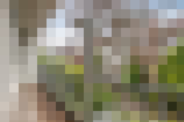 Image 17