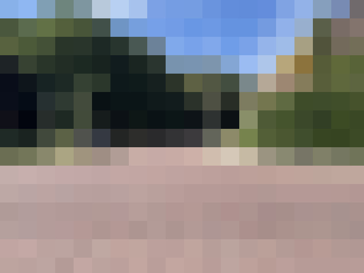 Image 37