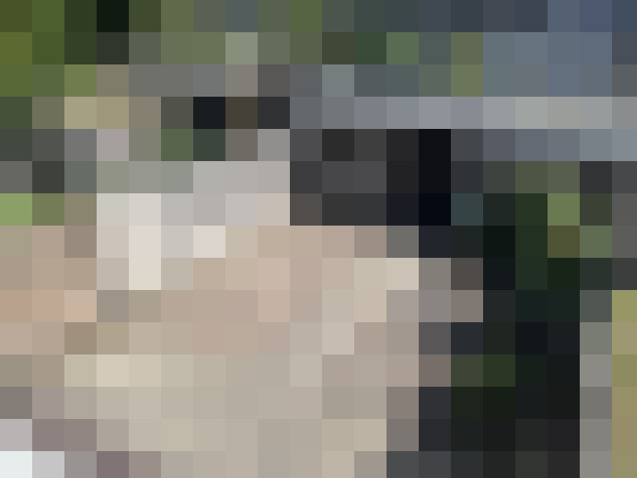 Image 24