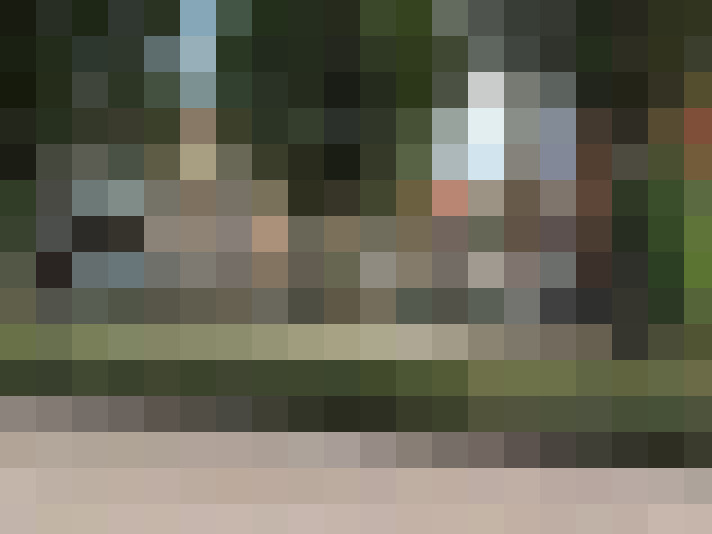 Image 39