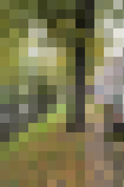 Image 22