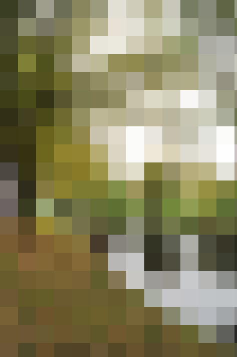 Image 21