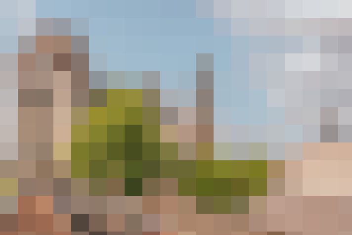 Image 29