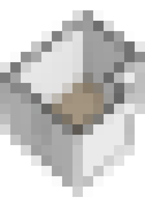 Image 29