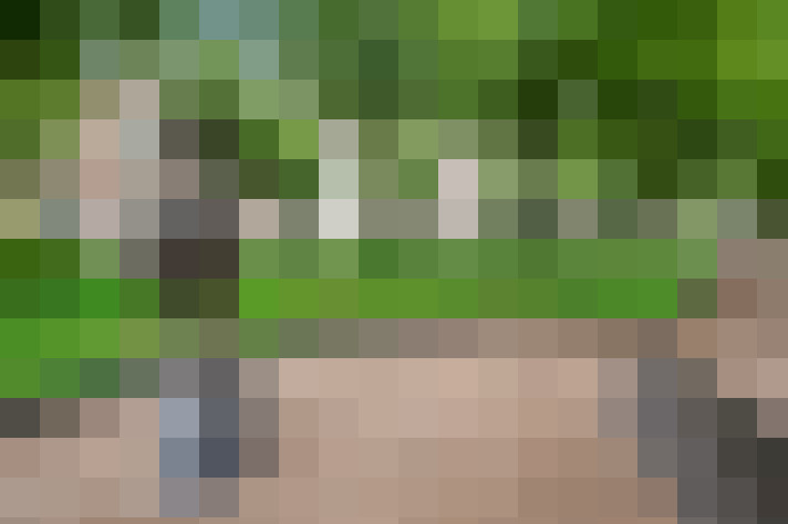 Image 66