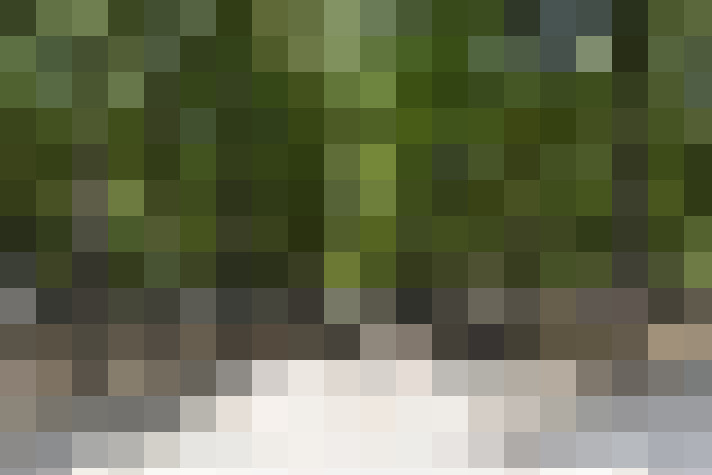 Image 70