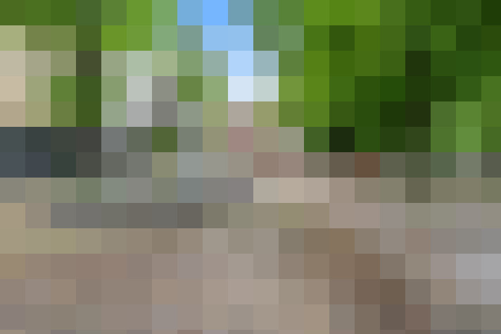 Image 64