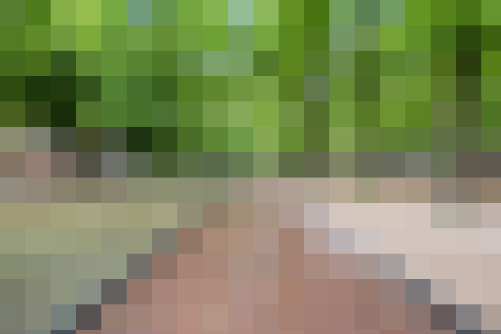 Image 65