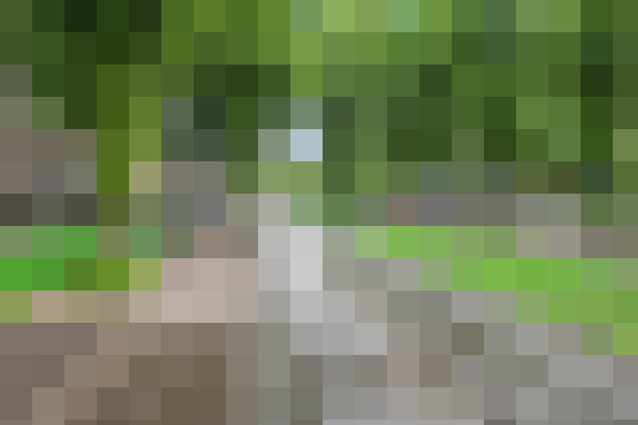 Image 69