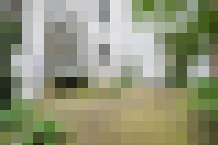 Image 36