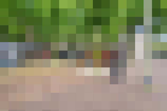 Image 61